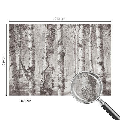 3D Wall Mural with a birch forest motif