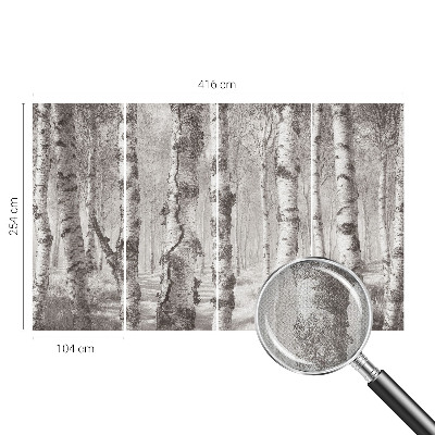 3D wall mural Birch forest