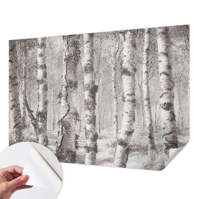 3D wall mural Birch forest