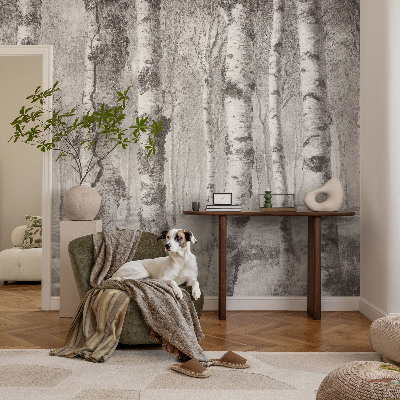 3D wall mural Birch forest