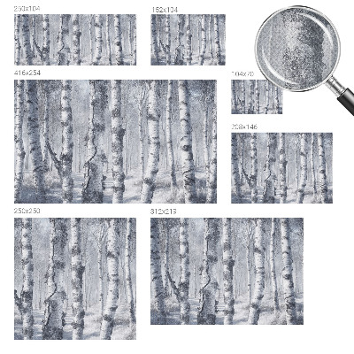 3D photo wallpaper mural featuring a frosty nature scene