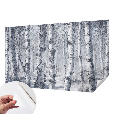 3D photo wallpaper mural Frosty nature