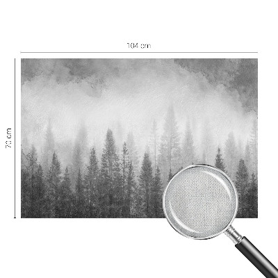 Peel and stick wall mural for living room with a foggy forest motif