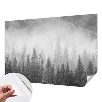 Peel and stick wall mural for living room with a foggy forest motif