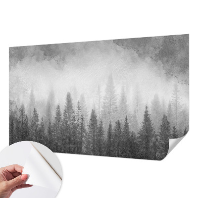 Peel and stick wall mural for living room with a foggy forest motif