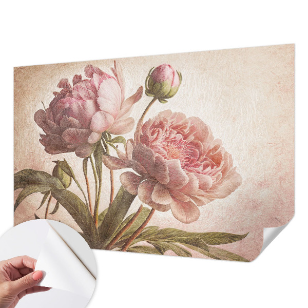 Stick-on wall mural Delicate peonies