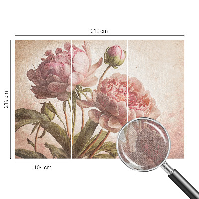Stick-on wall mural Delicate peonies