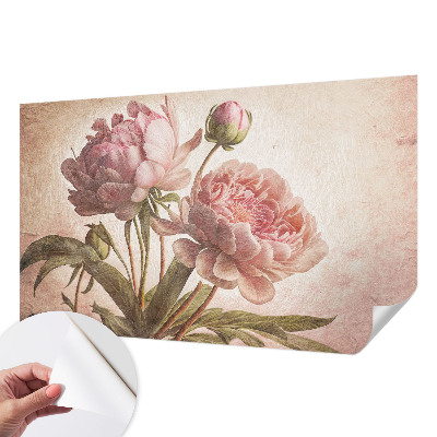 Stick-on wall mural Delicate peonies