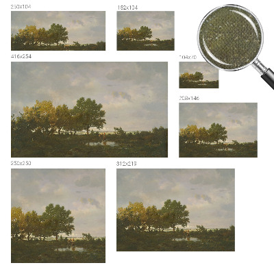 Peel and stick wall mural Forest landscape