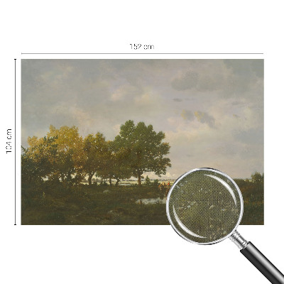 Peel and stick wall mural Forest landscape