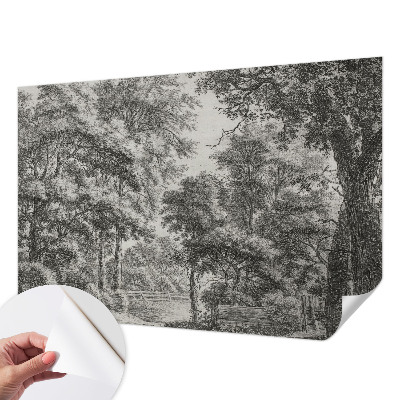 Removable wall mural Forest scenery