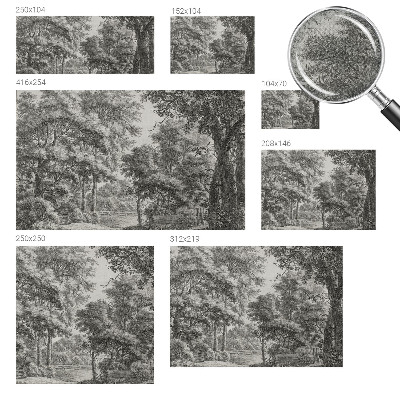 Removable wall mural Forest scenery