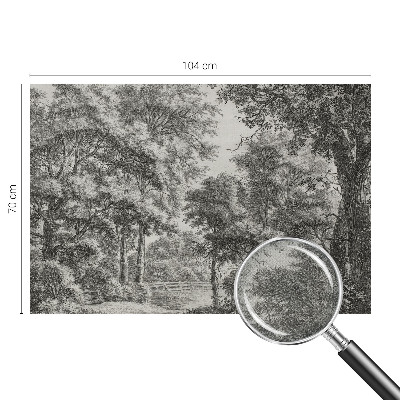 Removable wall mural Forest scenery