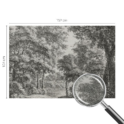 Removable wall mural with a forest scenery design