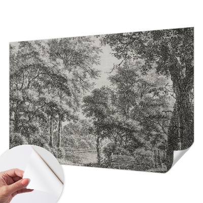 Removable wall mural Forest scenery