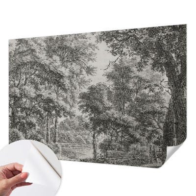 Removable wall mural with a forest scenery design