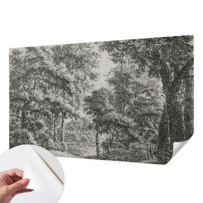 Removable wall mural Forest scenery