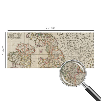 Peel and stick wall mural with an antique map design