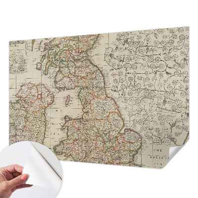 Peel and stick wall mural Antique map