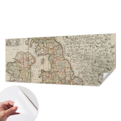 Peel and stick wall mural with an antique map design