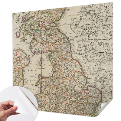 Peel and stick wall mural Antique map