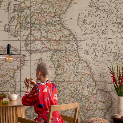 Peel and stick wall mural Antique map
