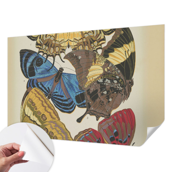 Stick-on wall mural with a butterflies motif to inspire any room