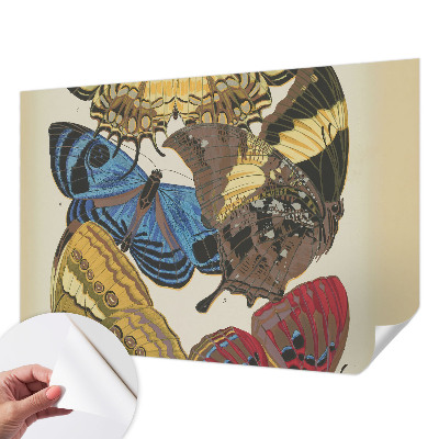 Stick-on wall mural with a butterflies motif to inspire any room