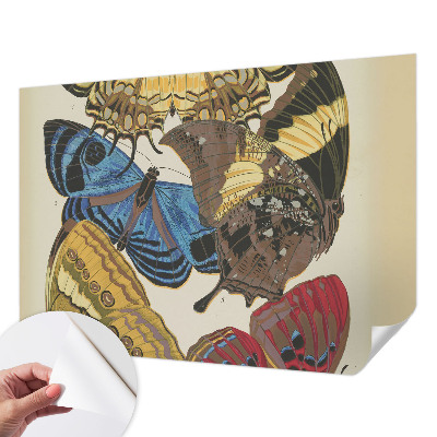 Stick-on wall mural with a butterflies motif to inspire any room