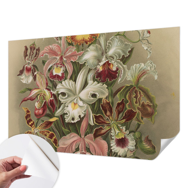 Removable wall mural with a floral elegant pattern