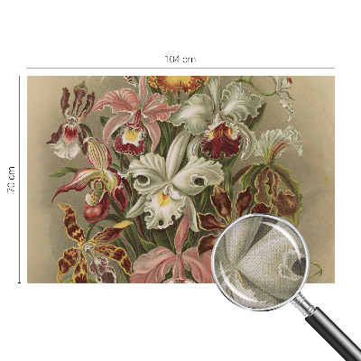 Removable wall mural with a floral elegant pattern