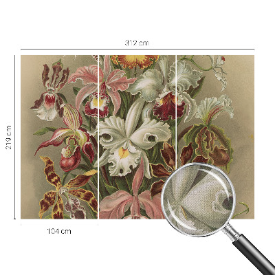 Removable wall mural Floral elegance