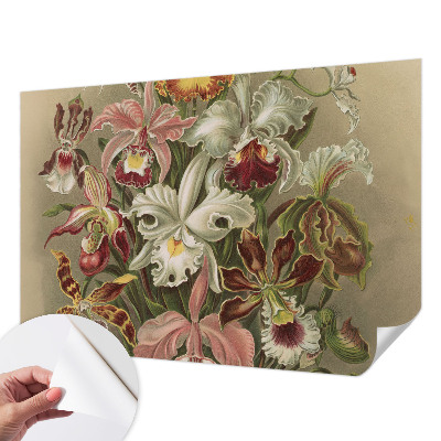 Removable wall mural Floral elegance
