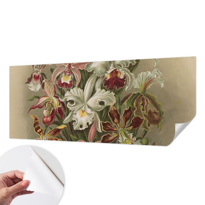 Removable wall mural with a floral elegant pattern