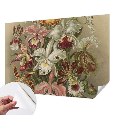 Removable wall mural Floral elegance