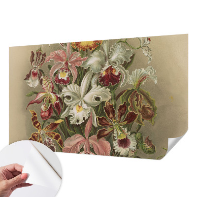 Removable wall mural Floral elegance