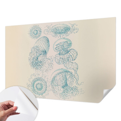 Removable wall mural wallpaper with a sea jellyfish design