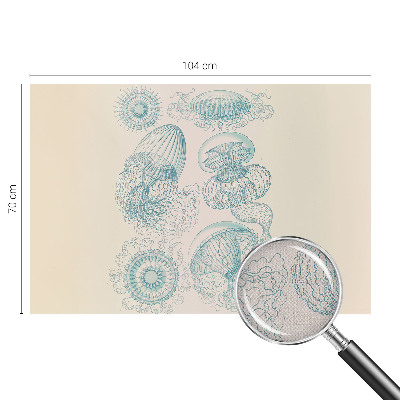 Removable wall mural wallpaper Sea jellyfish