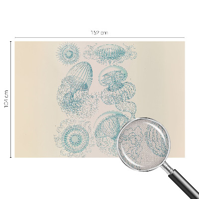 Removable wall mural wallpaper with a sea jellyfish design