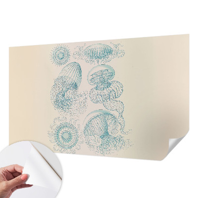 Removable wall mural wallpaper with a sea jellyfish design