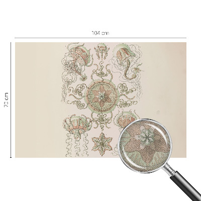 Peel and stick wall mural for living room Underwater world