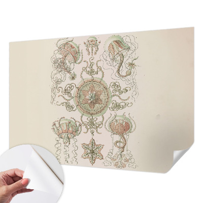 Peel and stick wall mural for living room featuring an underwater world design