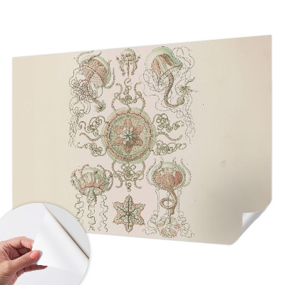Peel and stick wall mural for living room featuring an underwater world design