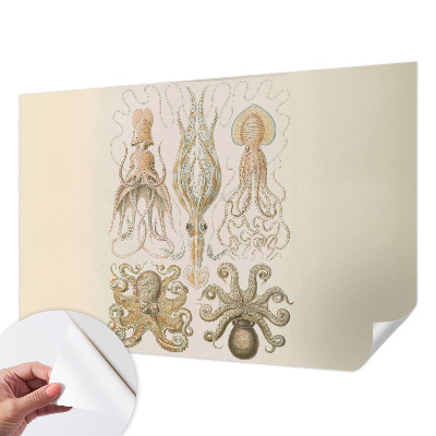 Peel and stick wall mural with a sea life design suitable for bedrooms