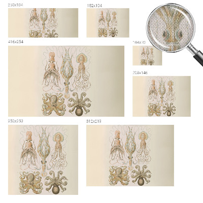 Peel and stick wall mural with a sea life design suitable for bedrooms