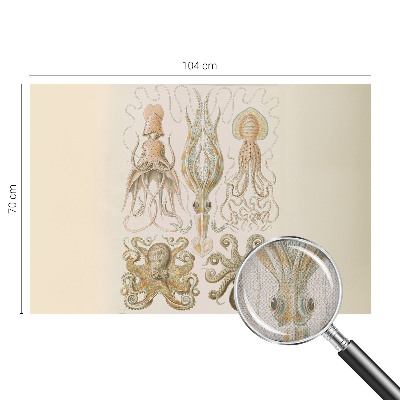 Peel and stick wall mural with a sea life design suitable for bedrooms