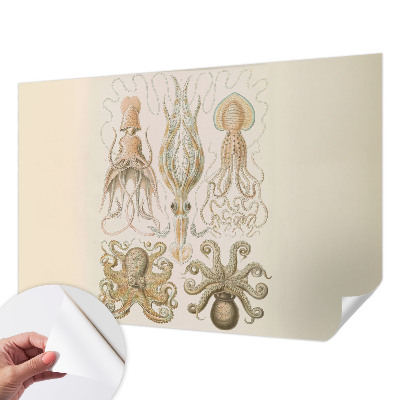 Peel and stick wall mural with a sea life design suitable for bedrooms