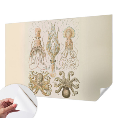 Peel and stick wall mural with a sea life design suitable for bedrooms