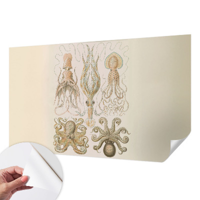 Peel and stick wall mural with a sea life design suitable for bedrooms