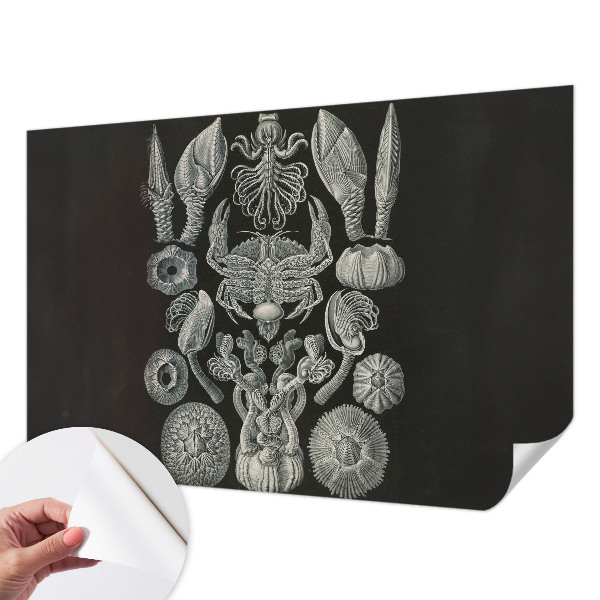 Peel and stick wall mural for kids' room with an underwater theme